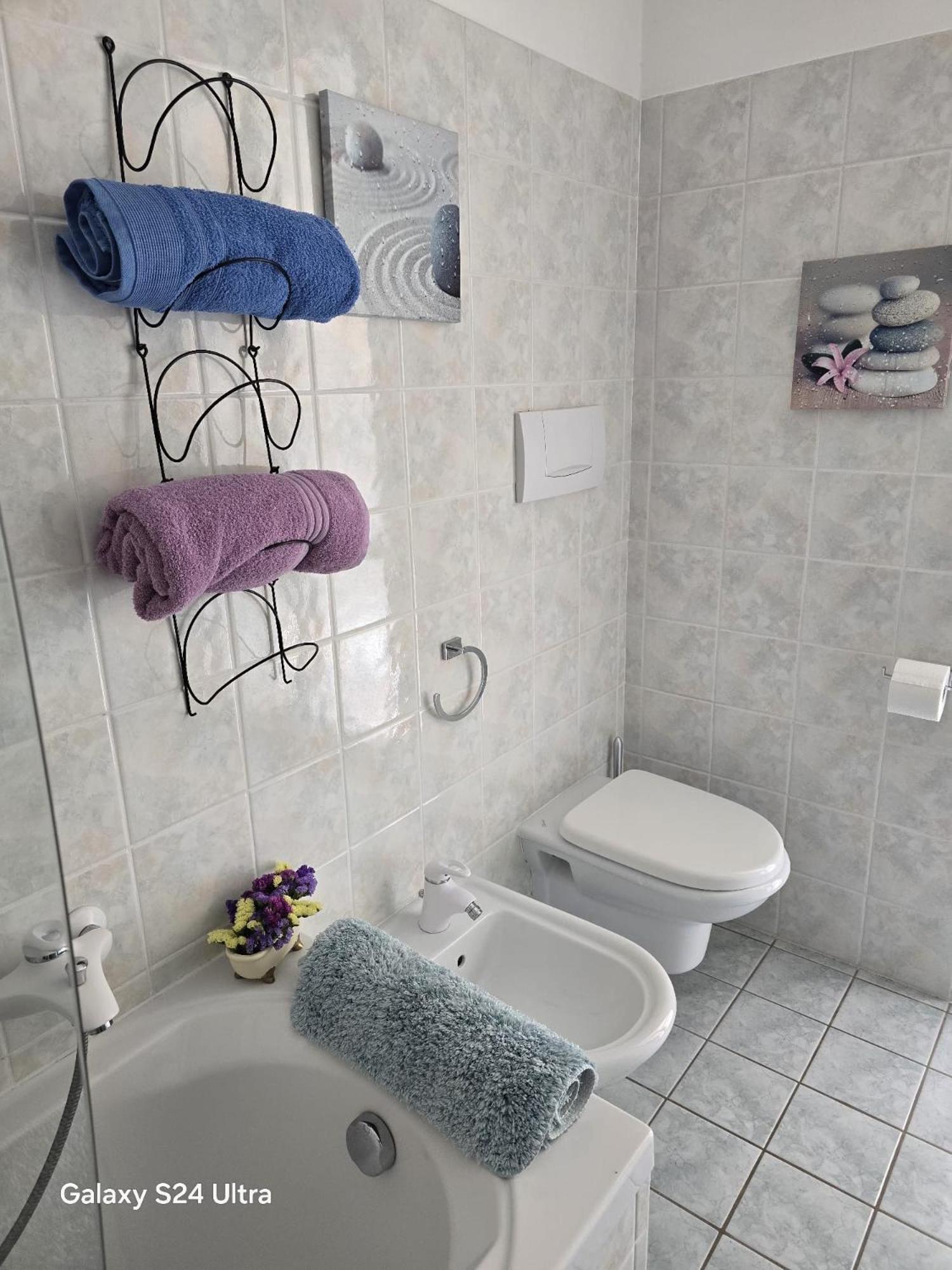 Zara House - Lake And Pet Friendly Brusimpiano Exteriér fotografie